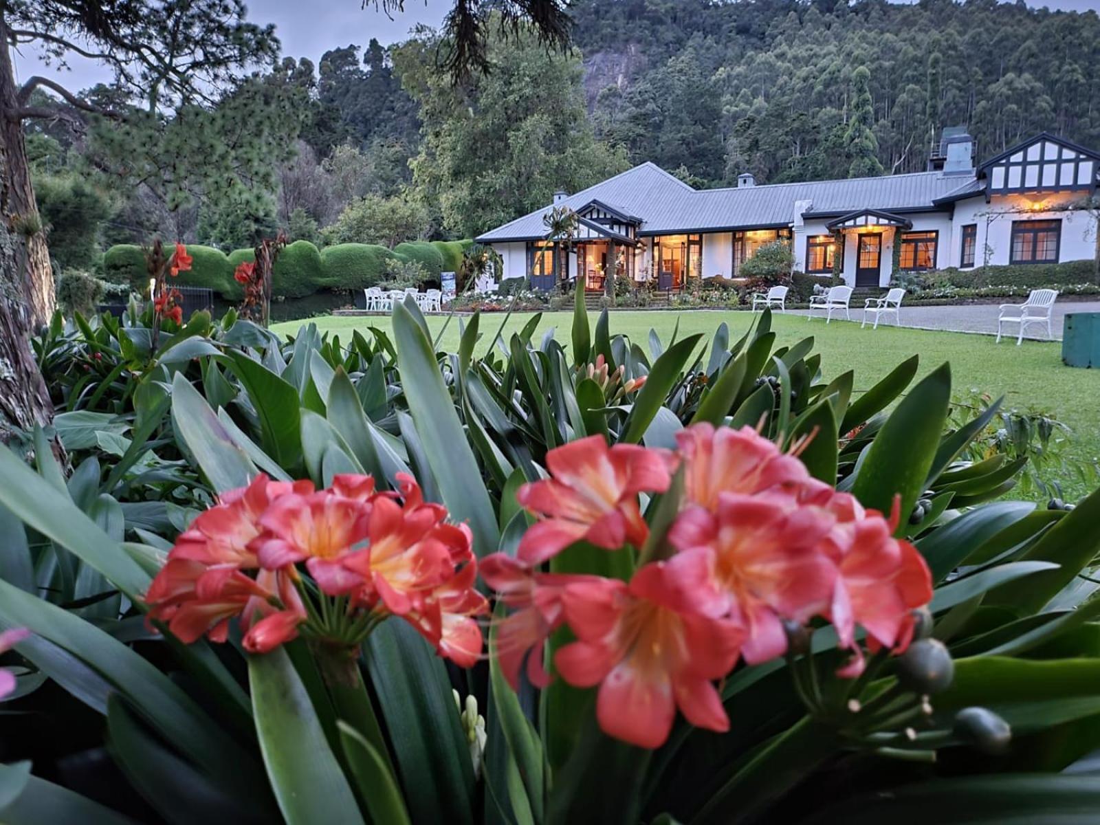 Hill Cottage Нувара-Елія Екстер'єр фото