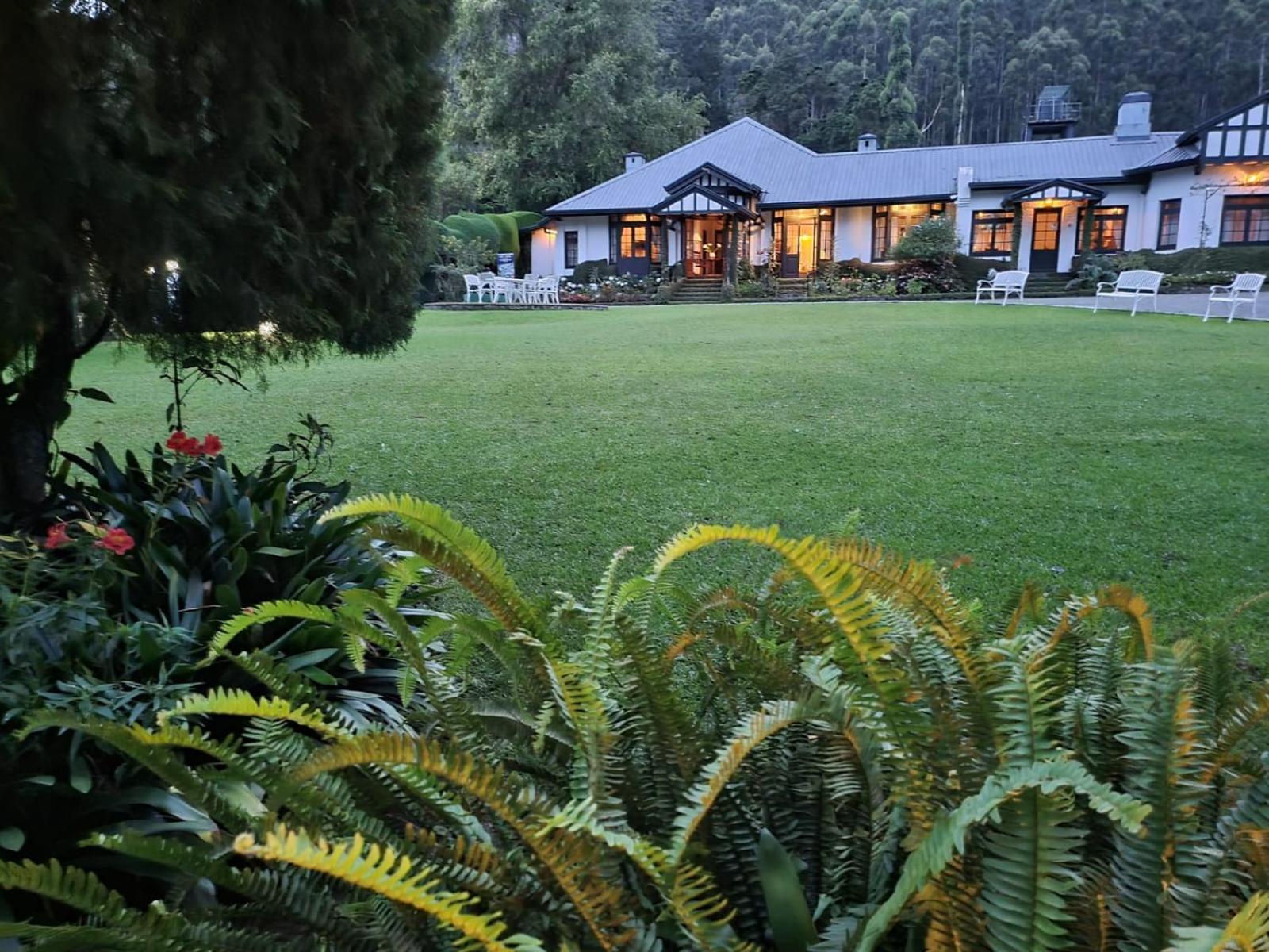Hill Cottage Нувара-Елія Екстер'єр фото